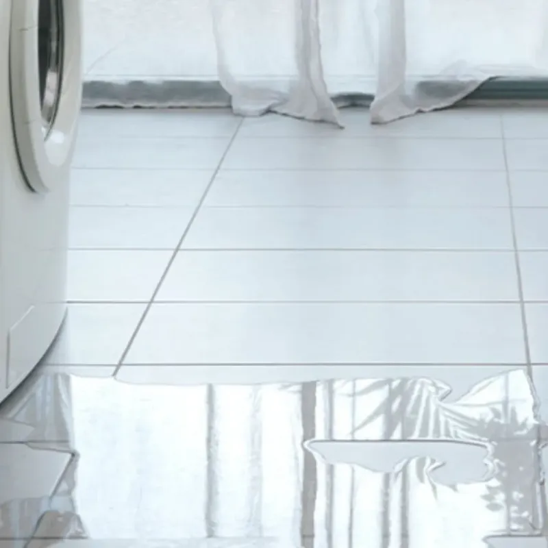 Appliance Leak Cleanup in Thorsby, AL