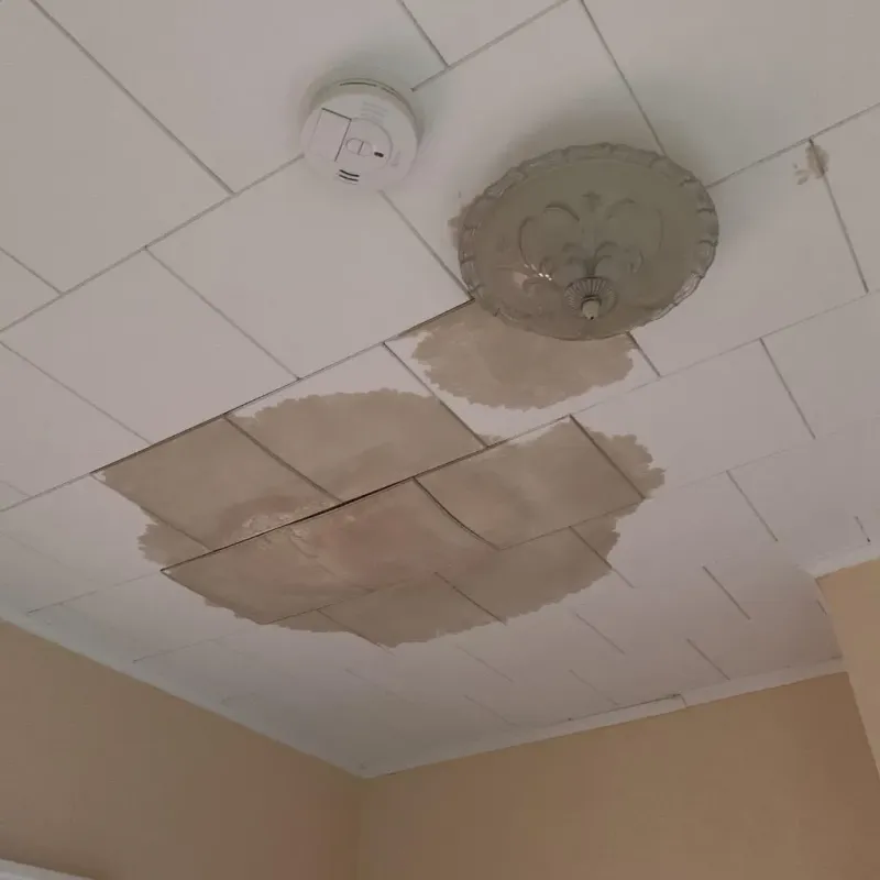 Ceiling Water Damage Repair in Thorsby, AL
