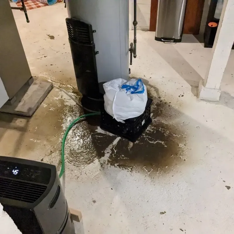 Sewage Backup Cleanup Service in Thorsby, AL